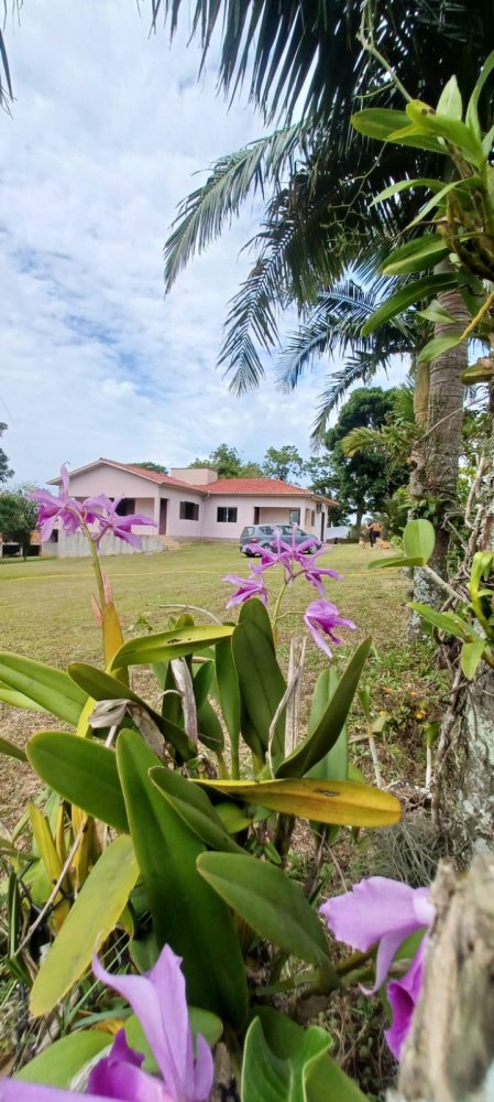 Stio - Venda - Morro Bonito - Jaguaruna - SC